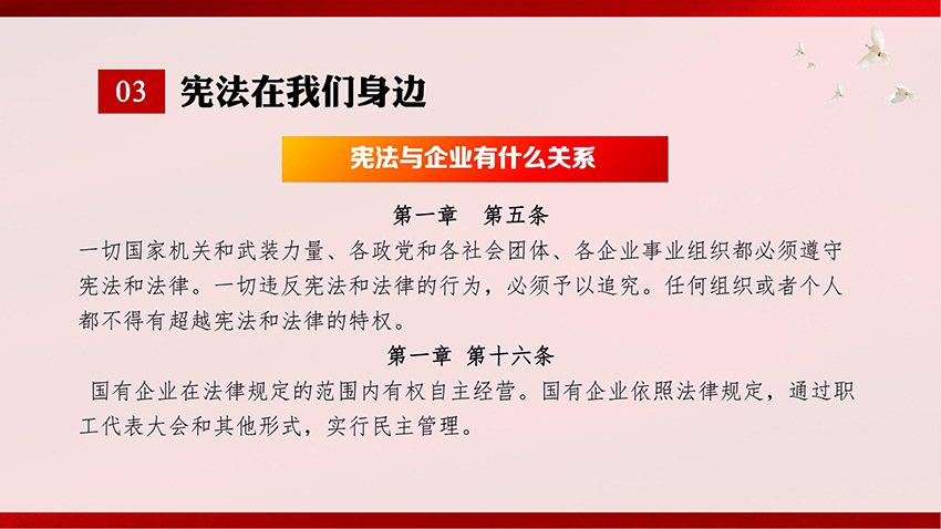 憲法宣傳-PPT課件_07.jpg
